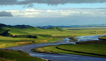 環(huán)境損害與其他鑒定